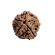 rudraksha 5 mukhi