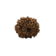 rudraksha 12 mukhi